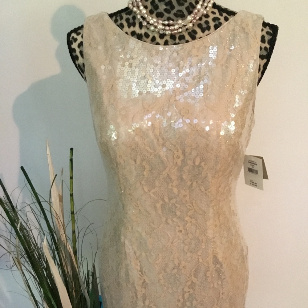 NWT Aidan v- neck sequined and lace dress.